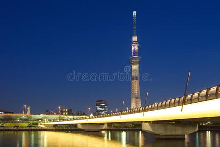 日本人 日落 地标 住田 场景 黄昏 街道 东京天空树 建筑