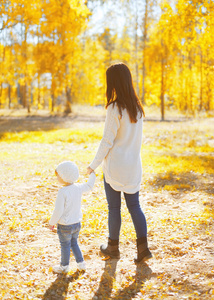 妈妈和孩子在温暖的秋日散步图片