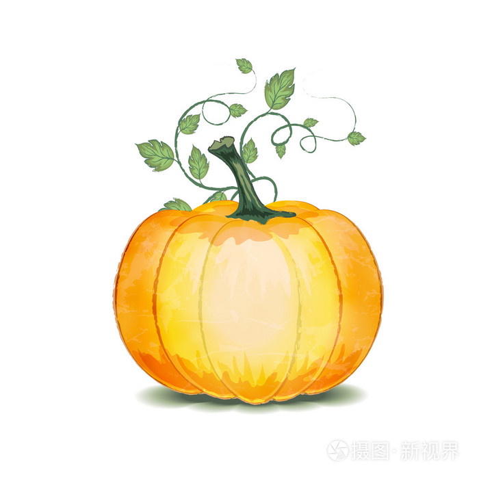 grunge 矢量南瓜