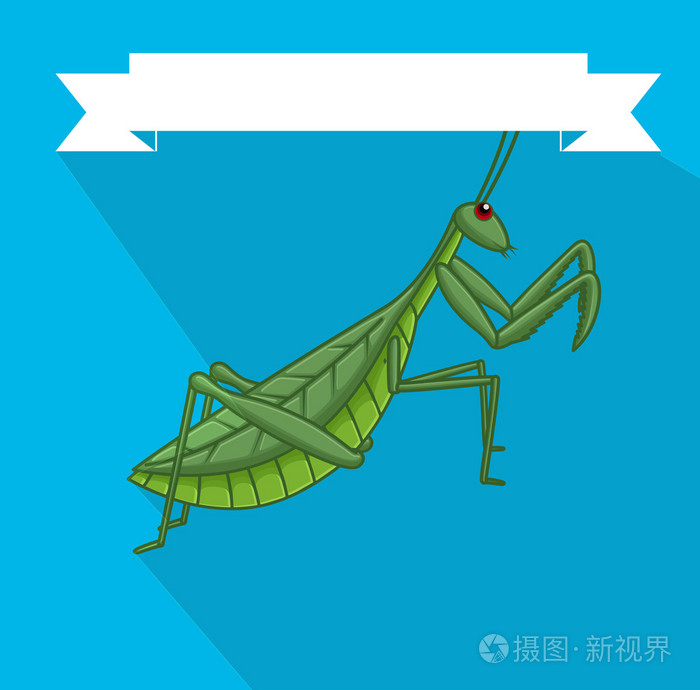 令人毛骨悚然的螳螂昆虫