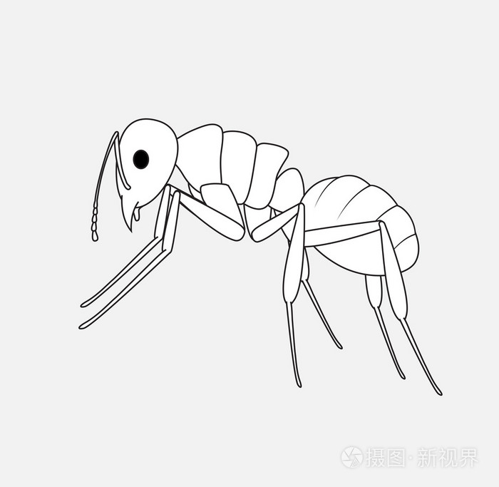 蚂蚁素描矢量