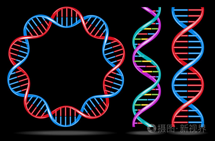 dna 链图标