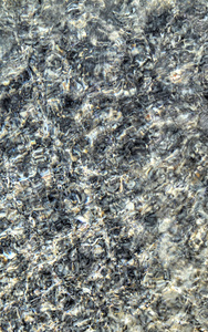 贝壳在海水下的抽象背景图片