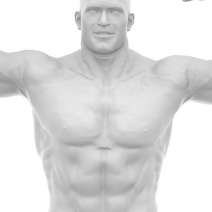 男人身体生成器显示肌肉图片