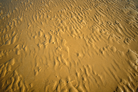 湿的沙浪图片