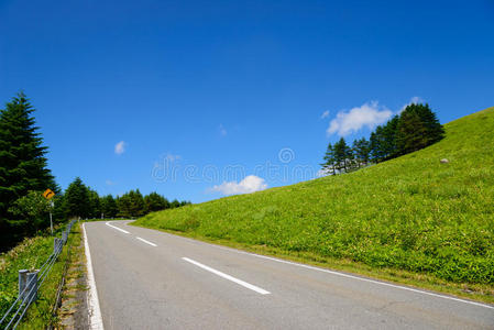 亚洲 高地 求助 科根 国家的 风景 自然 桦木 植物 日本人