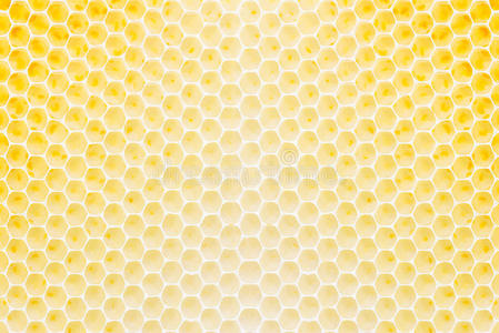 蜂窝图案蜂窝状图案摄影图