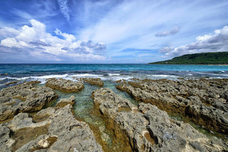 垦丁 闲暇 旅行 风景 海滩 暗礁 植物 泡沫 海岸 太平洋