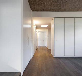 公寓 建筑学 宽的 房子 空的 通道 镶木地板 地板 建筑