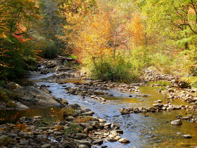 小溪 涟漪 反射 卡罗莱纳州 颜色 栖息地 森林 巨石 岩石