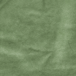 设计作品的绿色皮革背景图片