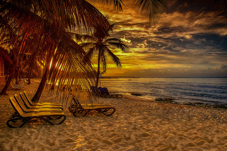 在日落时掌加勒比海滩图片