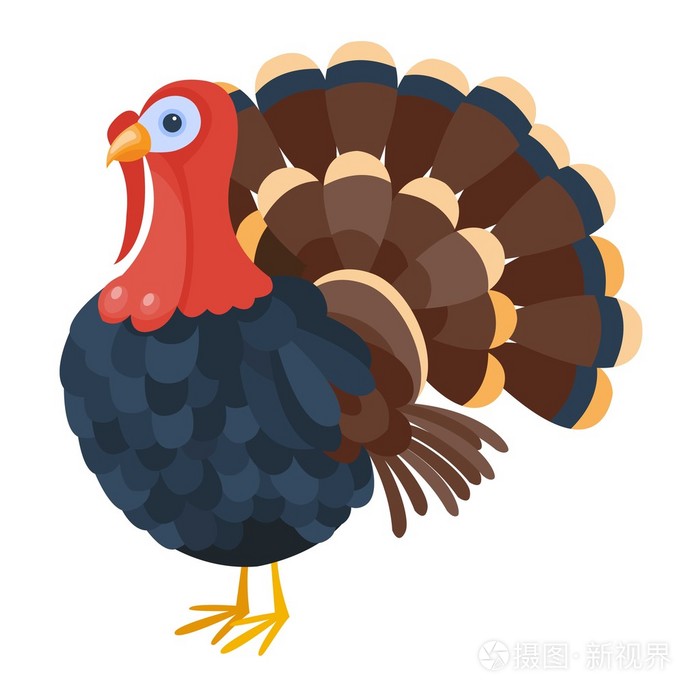 turkeycartoon,cartoonnetwork 可爱的卡通土耳其矢量图