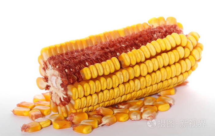 特写玉米穗轴内核上白色孤立