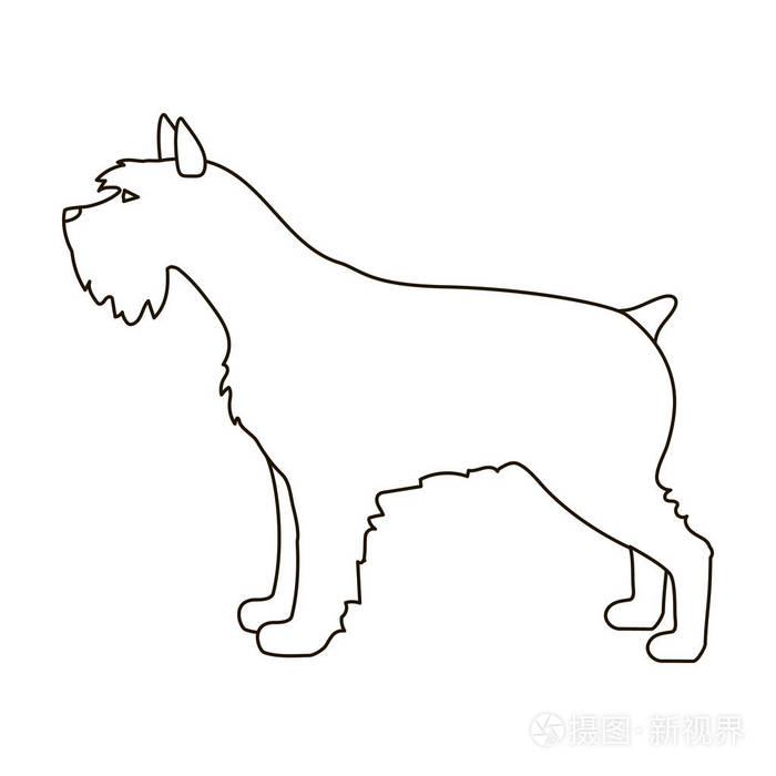 雪纳瑞犬在白色背景上孤立的大纲样式图标.狗的品种符号股票矢量图