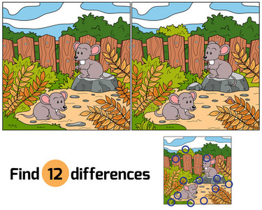 小鼠发现差异小鼠照片