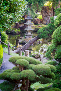 日本茶园