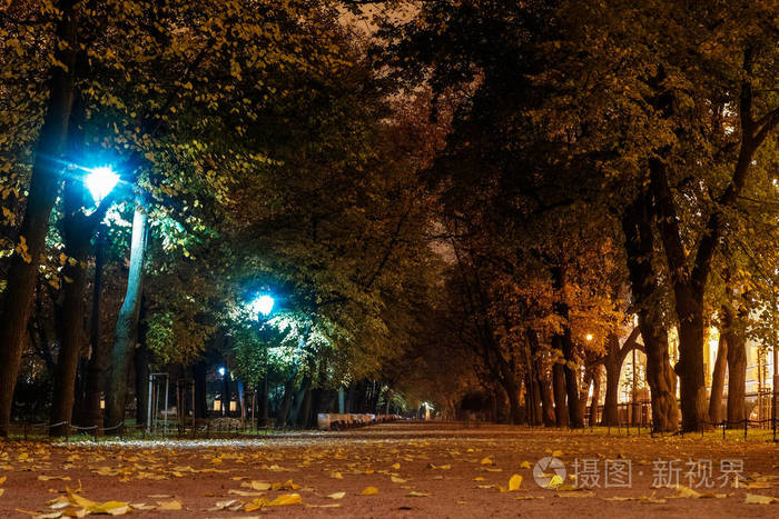 落叶在秋天的夜晚公园巷