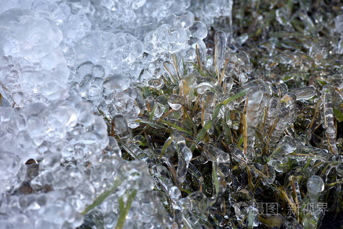 冷冻植物上的抽象冰晶