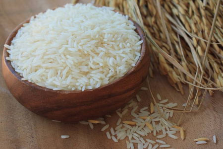 粮食水稻和水稻植株图片