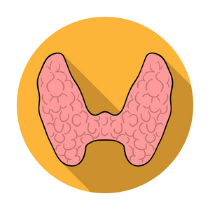 人类甲状腺中孤立的白色背景上的平面样式的图标。人体器官符号股票矢量图照片