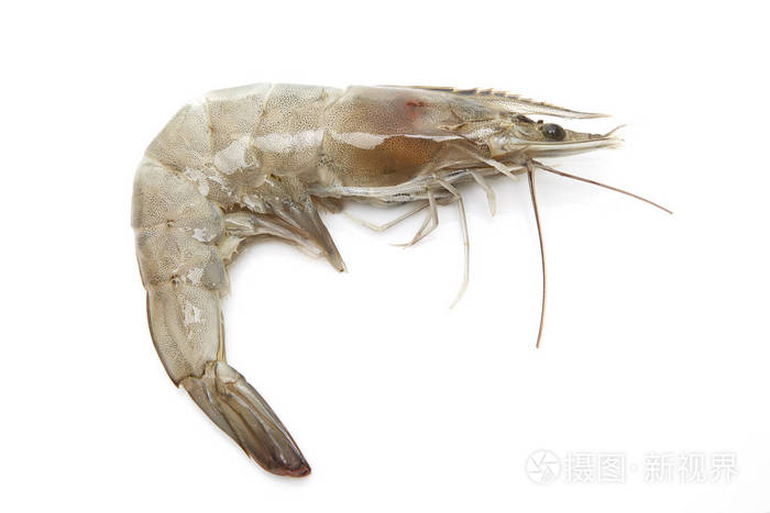 泰国鲜虾,白色背景分离