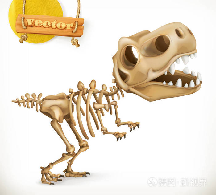恐龙骨架的卡通人物.有趣的动物 3d 矢量图标
