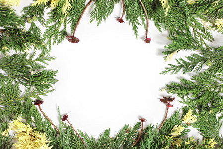 圣诞节背景边框与常绿枞树图片