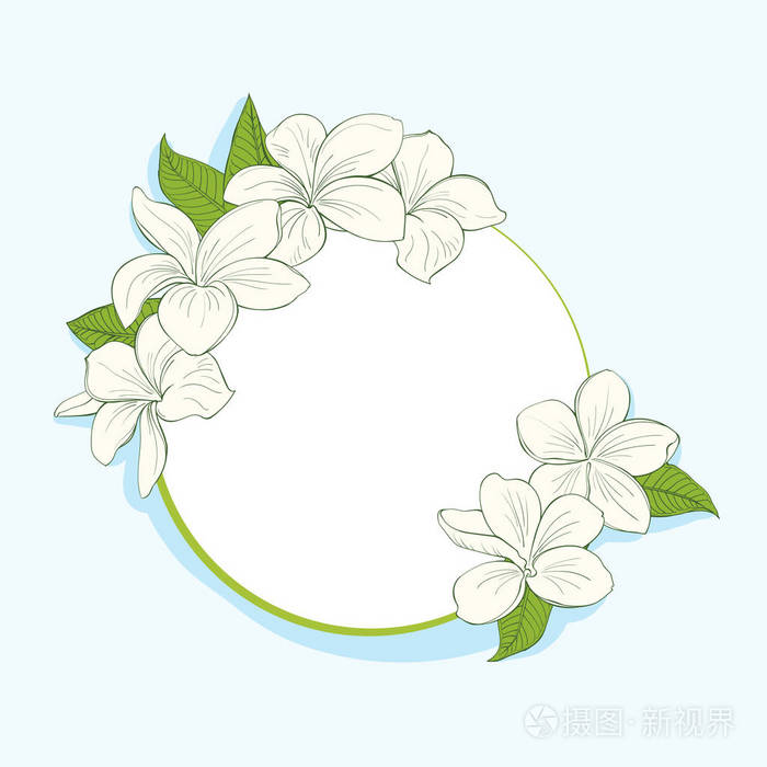 鸡蛋花的圆环框架