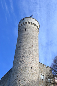 防御工事 要塞 欧洲 旗帜 地标 石灰石 城堡 城市 堡垒