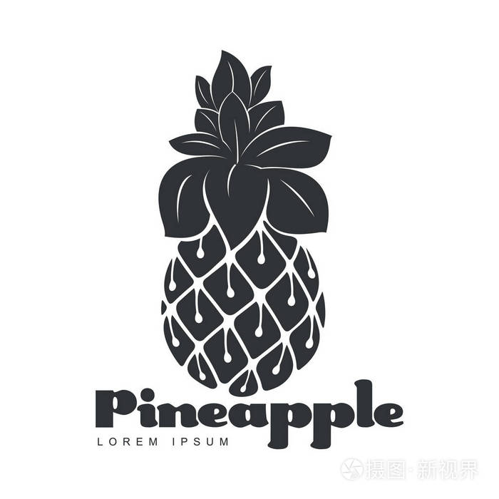 黑色和白色不对称图形菠萝标志模板