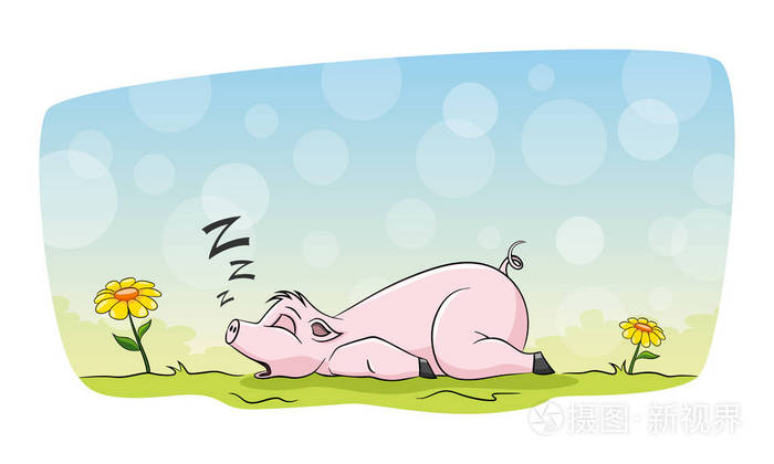 香猪睡在草地上