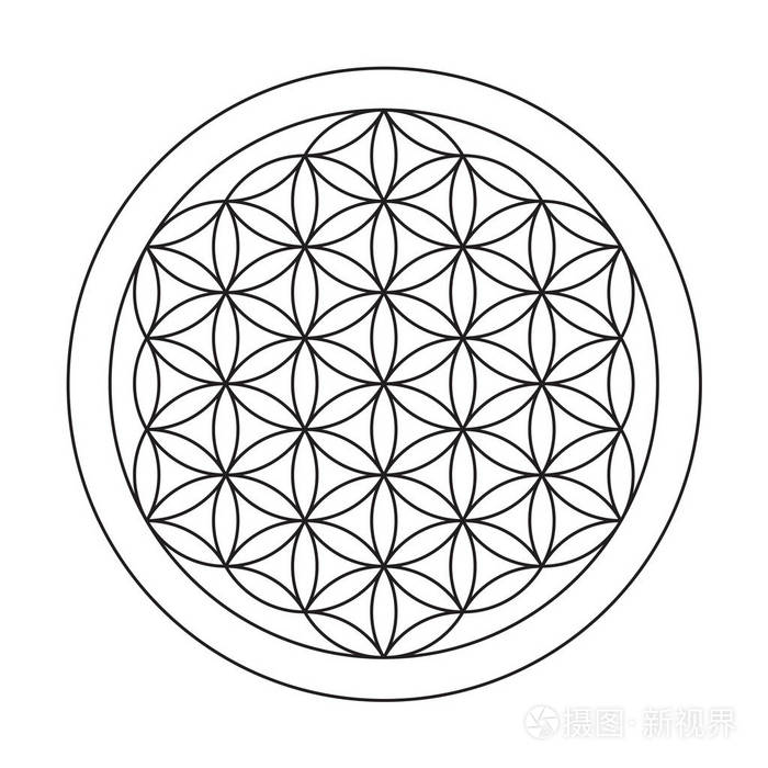 生命之花图形符号