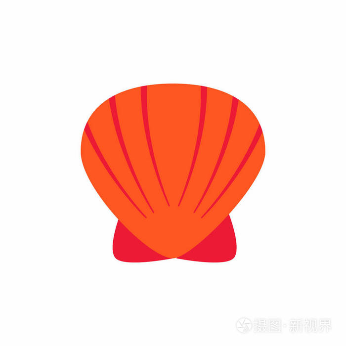 扇贝贝壳素描风格矢量插图海贝贝壳海螺