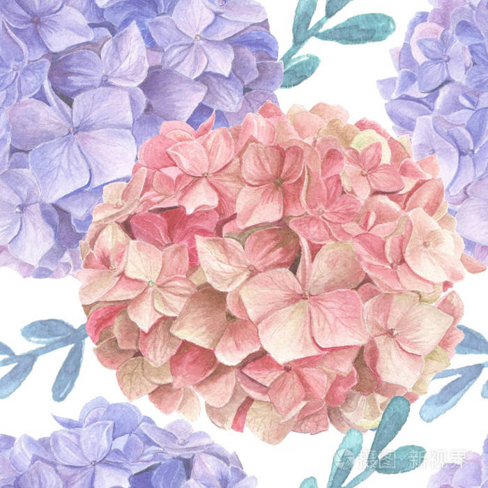 绣球花水彩无缝图案