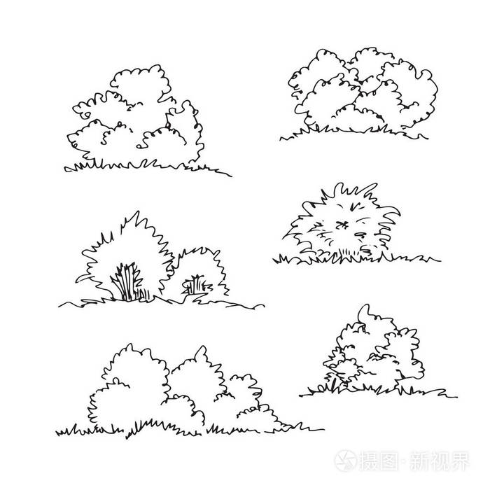 手工画的建筑师灌木, 树木学素描收藏集