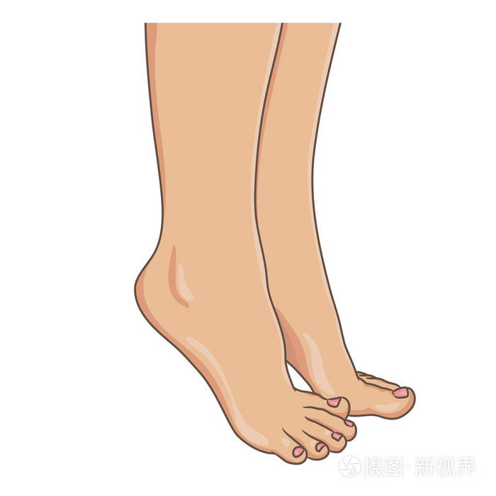 女性腿赤脚侧视. 矢量插图手绘卡通风格孤立在白色上.