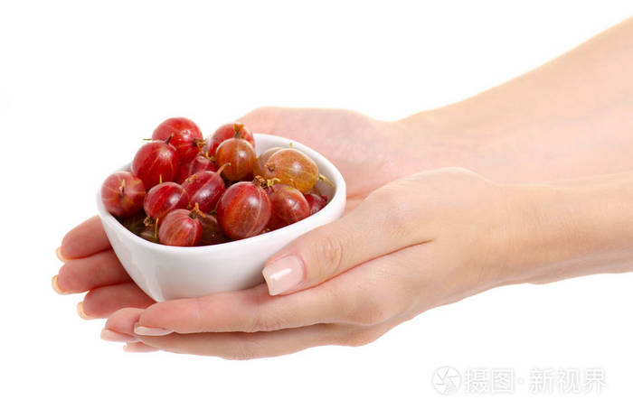 手里拿着碗醋栗