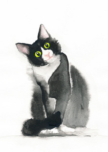 猫，小猫涂鸦画