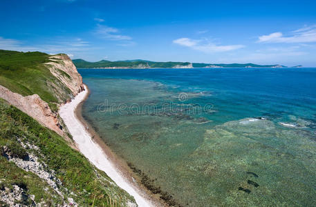 岩石 海景 植物区系 场景 成长 徒步旅行 海洋 土地 季节