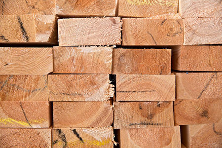 房地产 森林 广场 锯木厂 托盘 木板 建筑 商店 材料