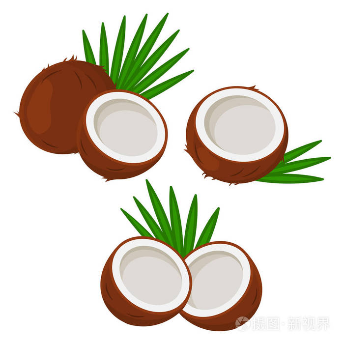 一套带叶子的椰子.矢量图