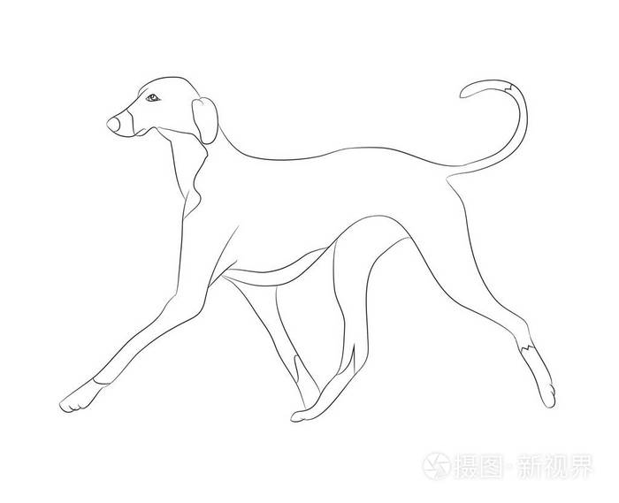 狗跑线矢量白底矢量