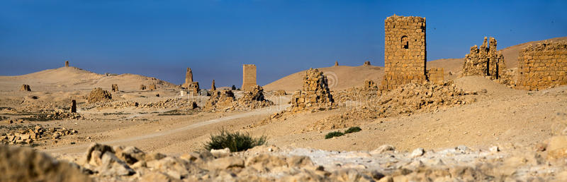 亚洲 小山 考古学 阿拉伯 当地人 沙漠 古物 历史 文明