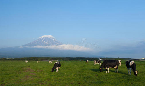 富士山全景