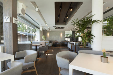 咖啡馆 椅子 桌子 地板 植物 奢侈 美丽的 餐厅