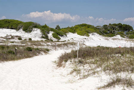 佛罗里达州 城市 自然 沙丘 海滩 公园 巴拿马 保护 营地