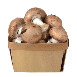 门贝拉蘑菇