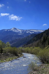 喀尔巴阡山 欧洲 薄雾 斜坡 小山 服务提供商 自然 场景