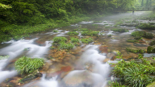 中国山在张杰佳